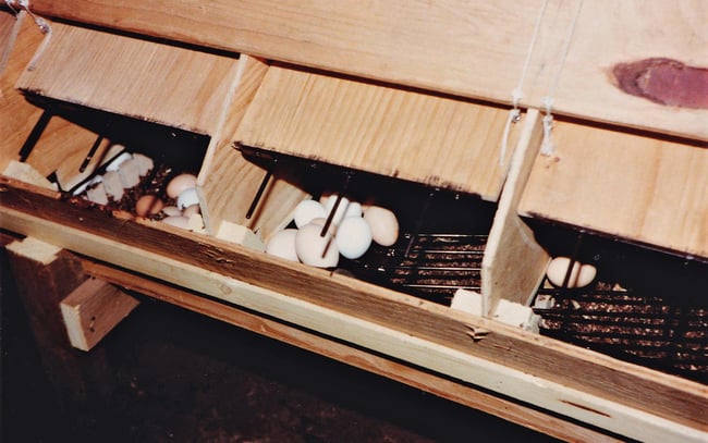 1982 08 foto (2)_edit