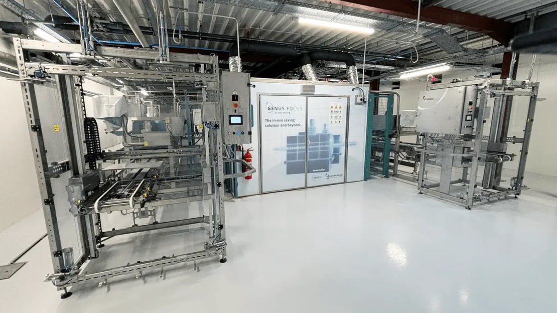 Genus Focus Vencomatic Group Orbem Hendrix Genetics