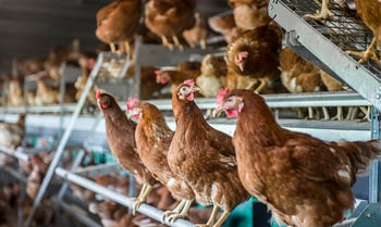 Layers - Research papers