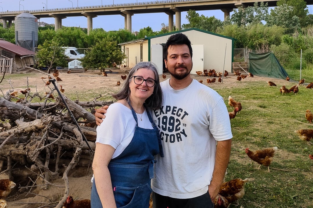 La dotzena - El Galliner de la Torrassa