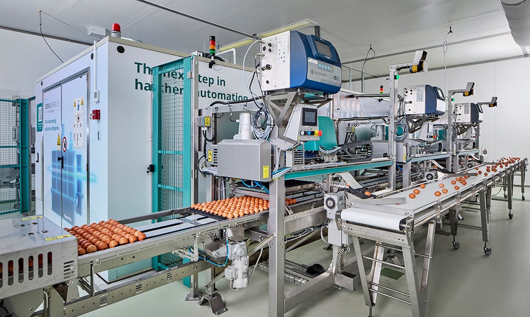 Genus-Focus-(17)-card