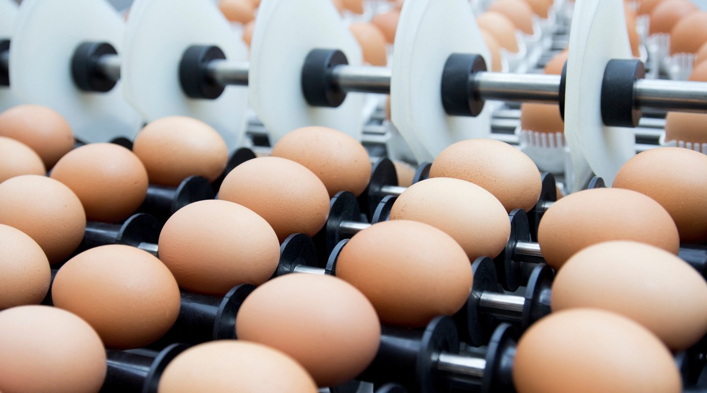 Header slider VMG - Prinzen