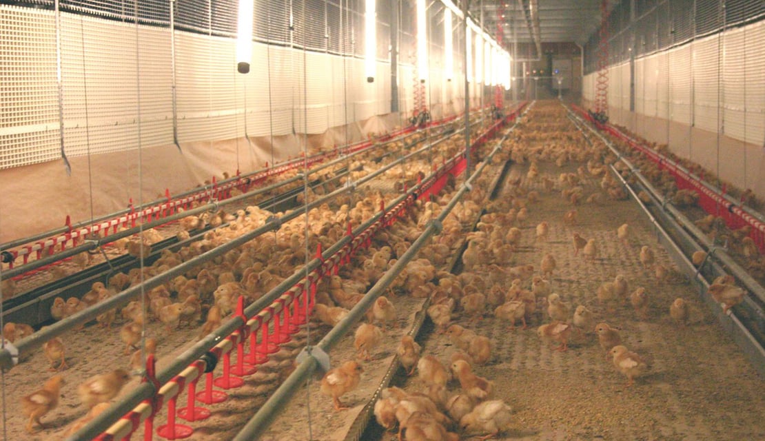 Jump-Start-wk1-video