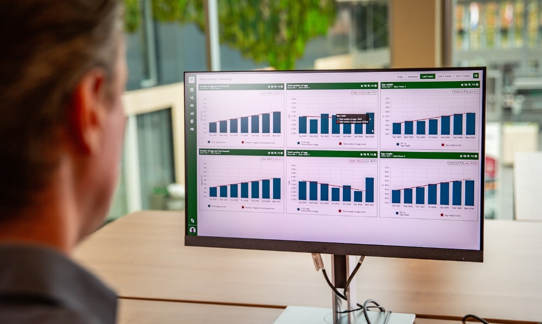 Meggsius-Connect-(1)-card