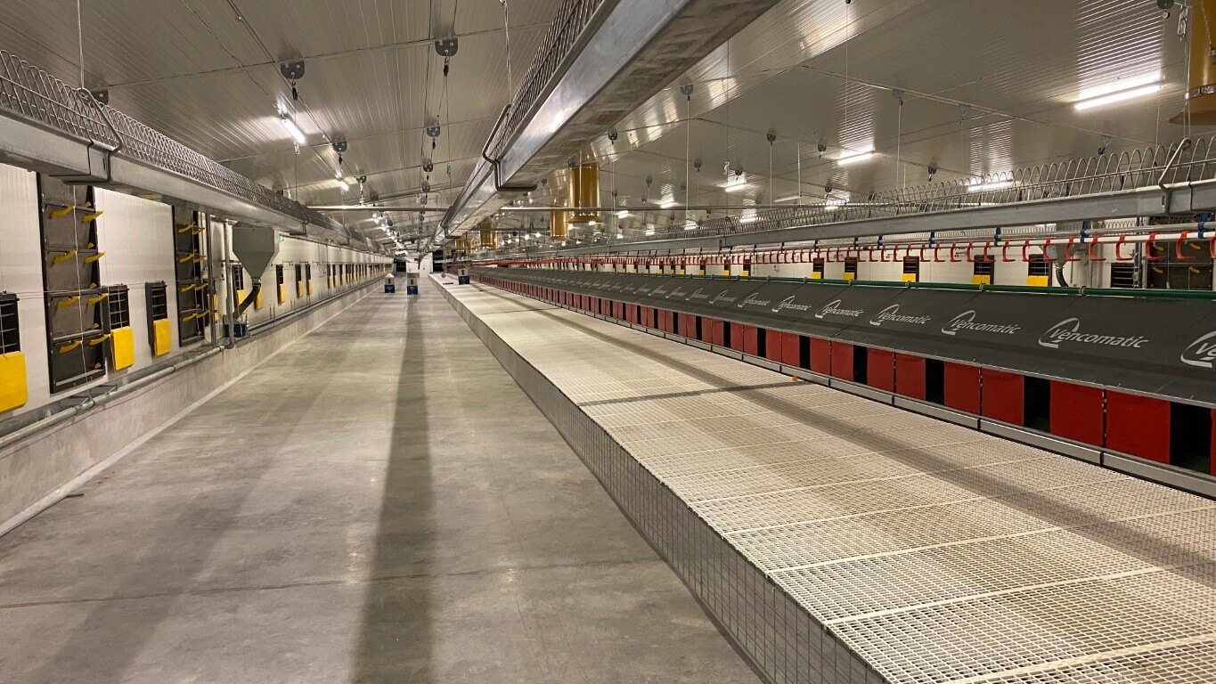 Nutrientul project 2