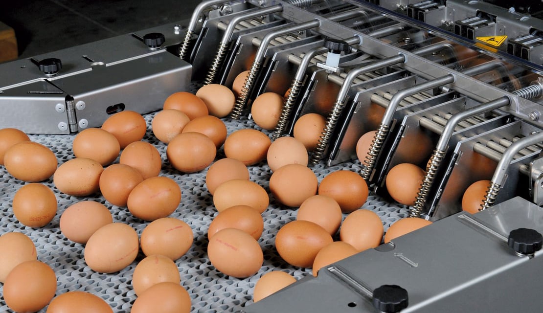 Ovoset-Pro-(3)-video