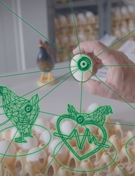 Research - Vencomatic Group (3)