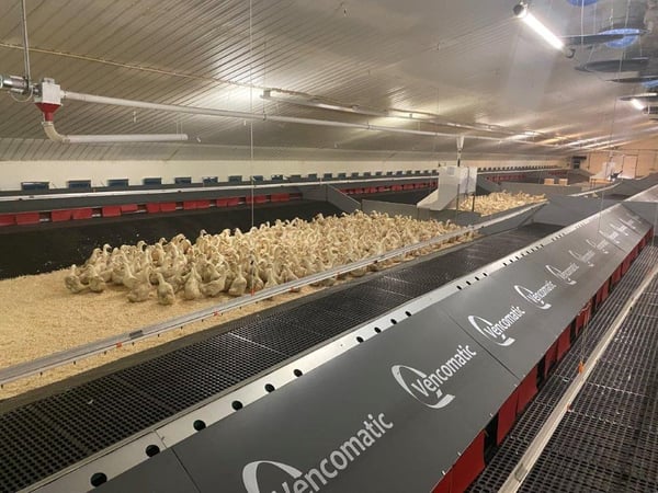 Roll Away Nest System 2_Silverhill