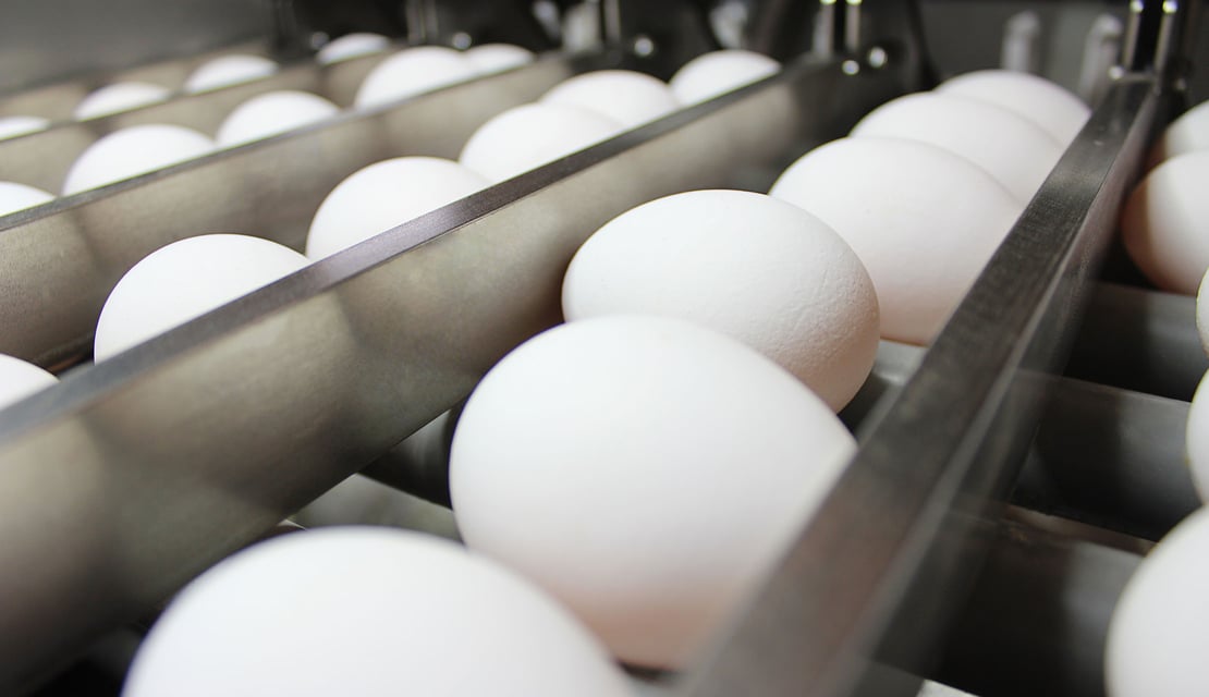 Speedpack-110-(6)-video