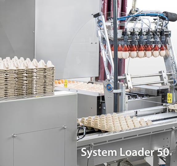 System-Loader-50-(3)