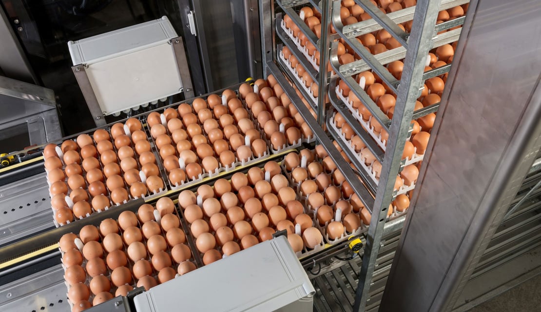 Trolley-loader-(4)-video