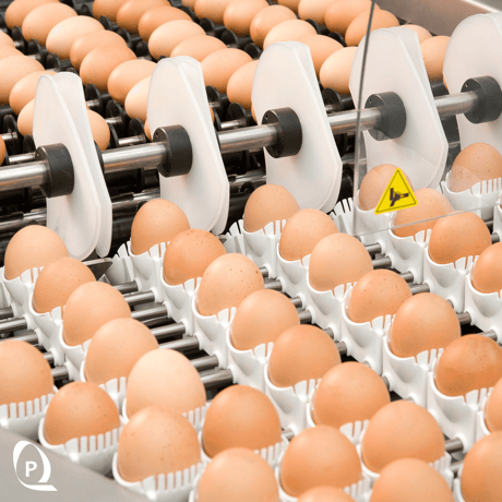 2024 02 Point down setting